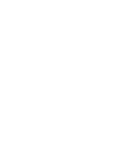 logo renault-white.png